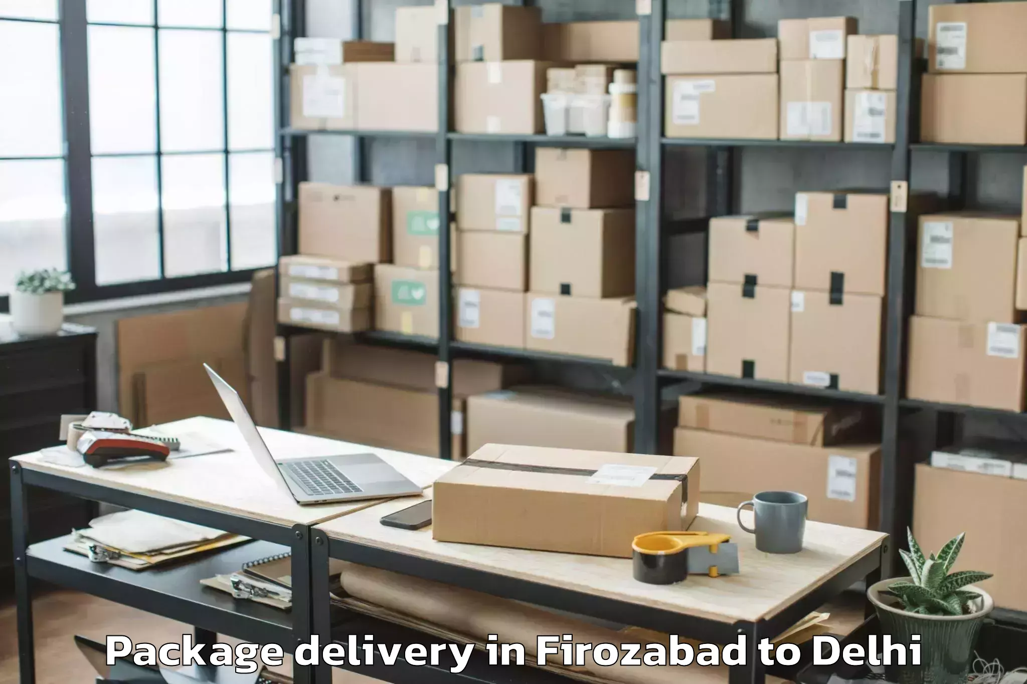 Trusted Firozabad to University Of Delhi New Delhi Package Delivery